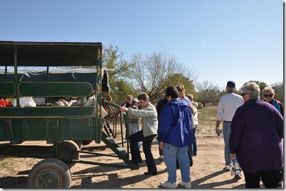 Winter at Retama 031