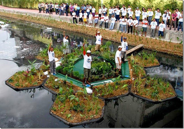 sistema-ecologico-recupera-rio-poluido4