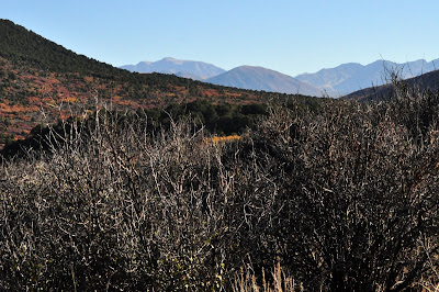 West Elk Mountains