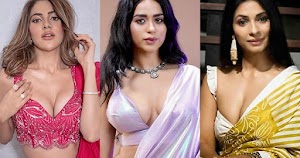 bigg boss actress saree cleavage busty