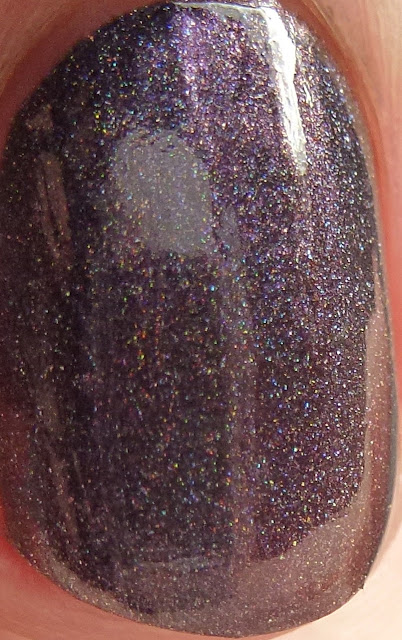 Polished Hippy PRL9 UCC6 Violet2 black Sp35