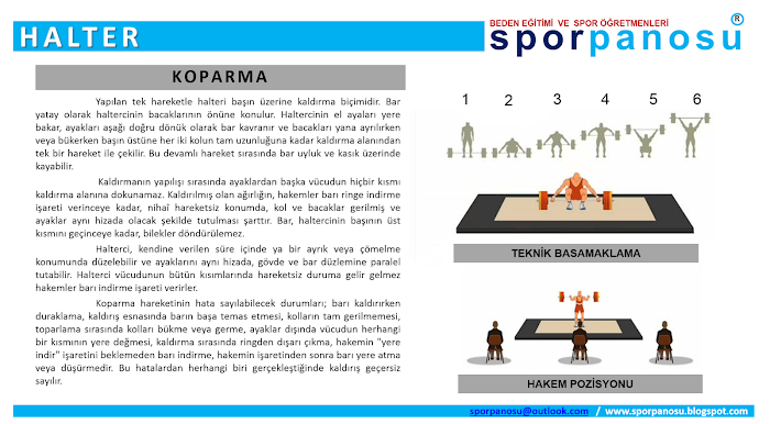 Halter Koparma 