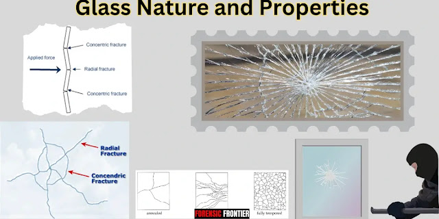 Glass Analysis in Crime Investigations: Understanding Properties and Fractures