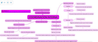 https://www.goconqr.com/es-ES/p/261179-COORDINACI-N-INTERNA-mind_maps