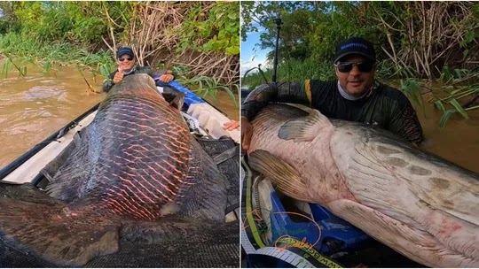 Pescadores fisgam pirarucu de mais 2 metros e 100 kg no Rio Madeira em RO: 'foi uma sensação incrível'