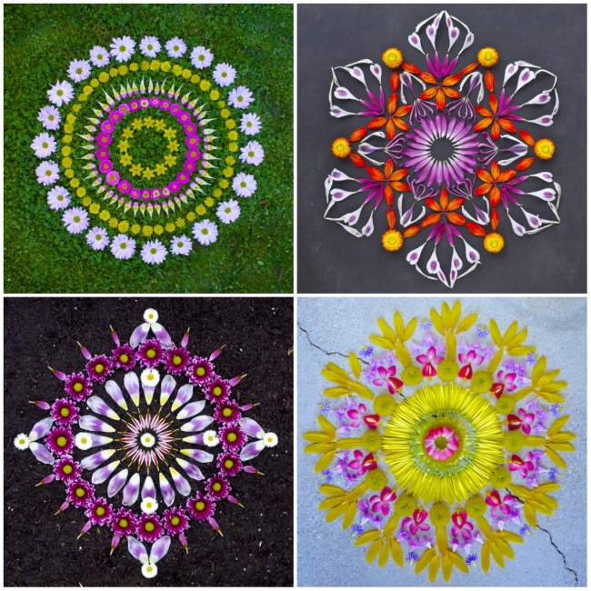 the artist creates colorful mandalas from flowers and plants