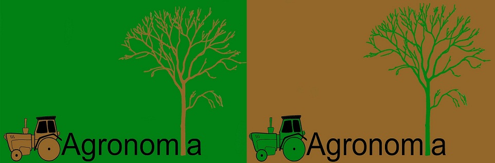 Ingeniería agronómica en la UPEA