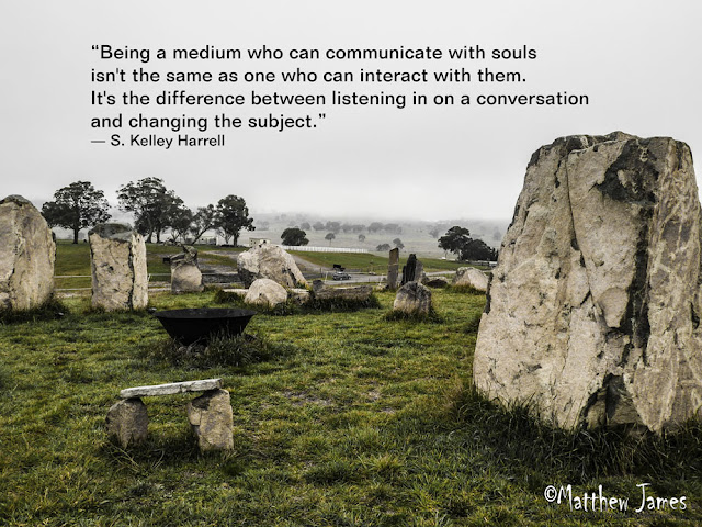 "Being a medium who can communicate with souls isn't the same as one who can interact with them. It's the difference between listening in on a conversation and changing the subject." - S.Kelley Harrell