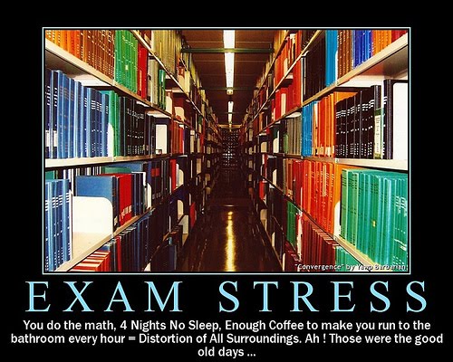 cool funny quotes. cool quotes on exams. funny quotes for exams. Funny Quotes For Exams. cool