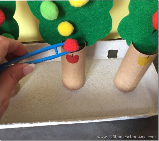 color sorting apple activity for toddler preschool