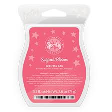 https://happyaboutscents.scentsy.us/Scentsy/Buy/Category/1264