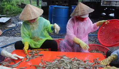 Test Sera Tiền Giang