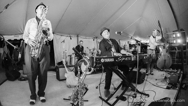 Eclectic Vinyl Orchestra at Hillside Festival on July 22, 2022 Photo by John Ordean at One In Ten Words oneintenwords.com toronto indie alternative live music blog concert photography pictures photos nikon d750 camera yyz photographer