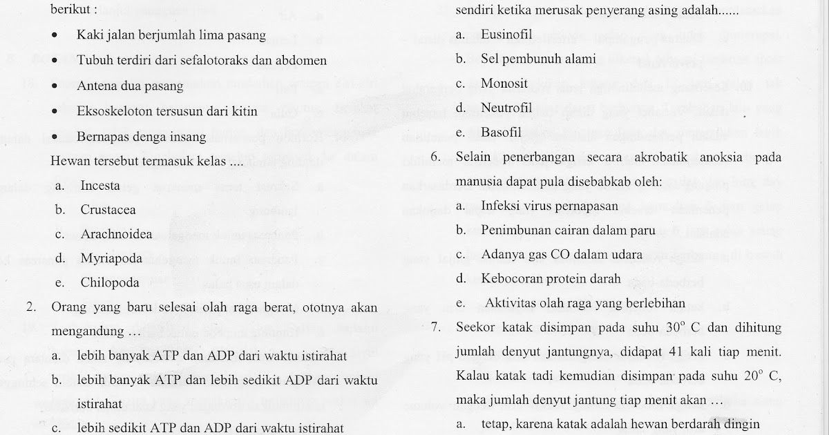 Contoh Soal Essay Olimpiade Biologi Sma