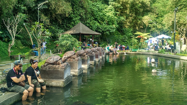 kolam ikan teras cikapundung bandung