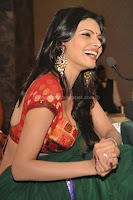 Sherlyn, chopra, hot, saree, navel, pictures