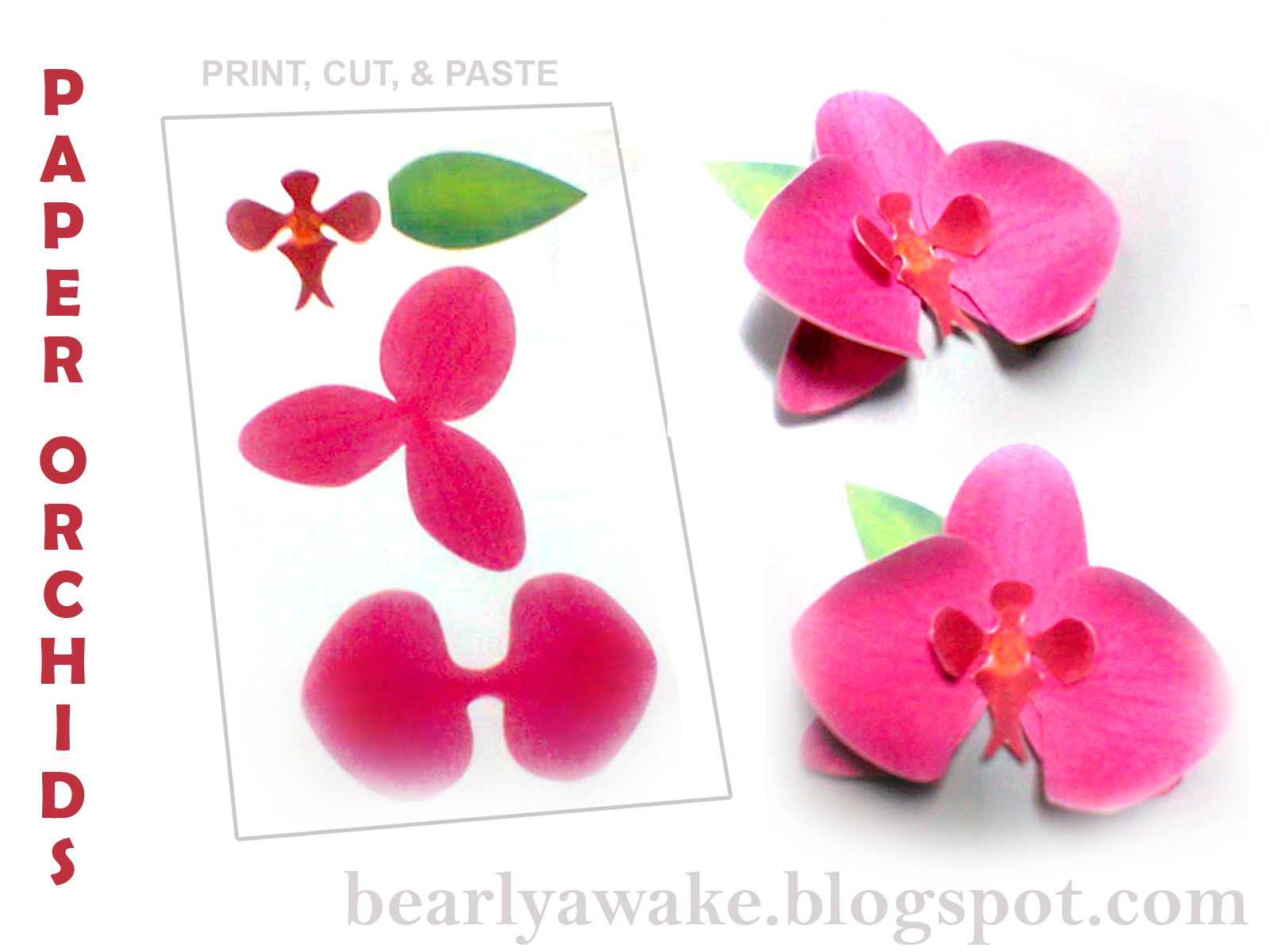 Bearlyawake: Make your own Paper Orchids