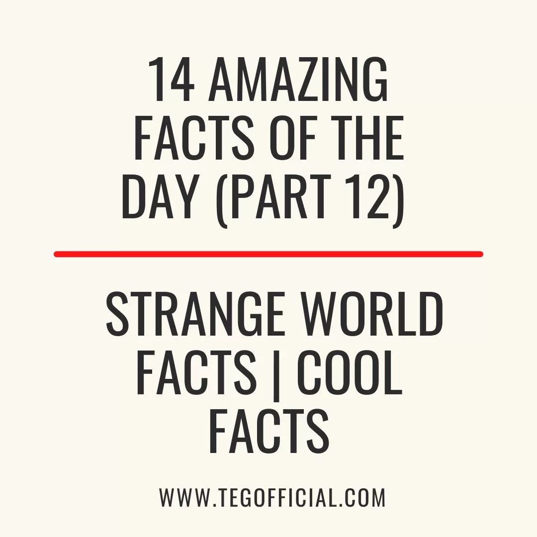 14 Amazing Facts of the Day (part 12) | Strange World Facts | Cool Facts - TEGOFFICIAL.COM