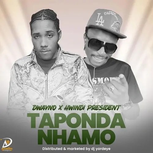 Hwindi president ft dwayno song taponda nhamo artwork