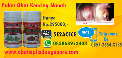 Obat Kencing Nanah Dari Tumbuhan