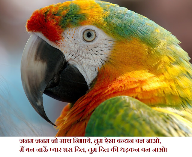 latest Dard shayari in hindi with an image 