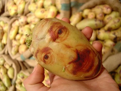 Potato Portraits (2) 1