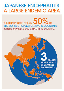 Japanese Encephalitis