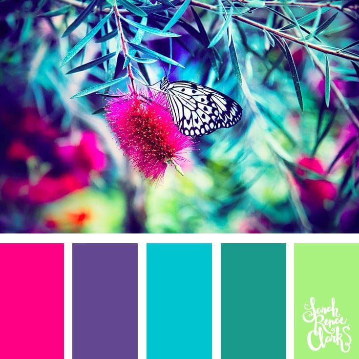 25 Color Palettes Inspired By The