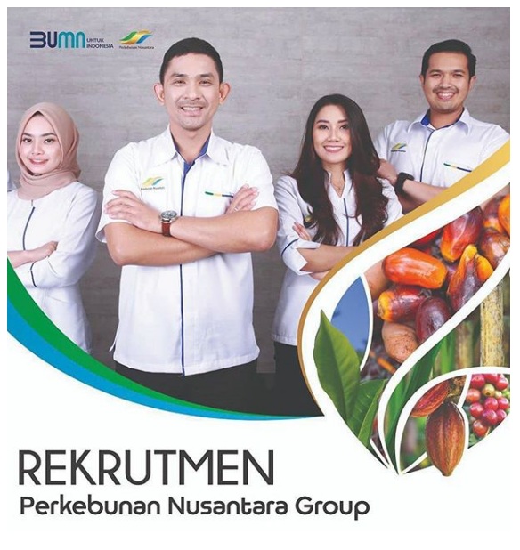 Recruitment Pt Perkebunan Nusantara