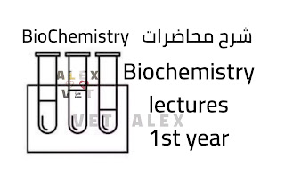 شرح محاضرات الكيمياء الحيوية للفرقة الاولي بكليات الطب