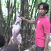 Foto Nyata (Mata Kambing  Aneh)