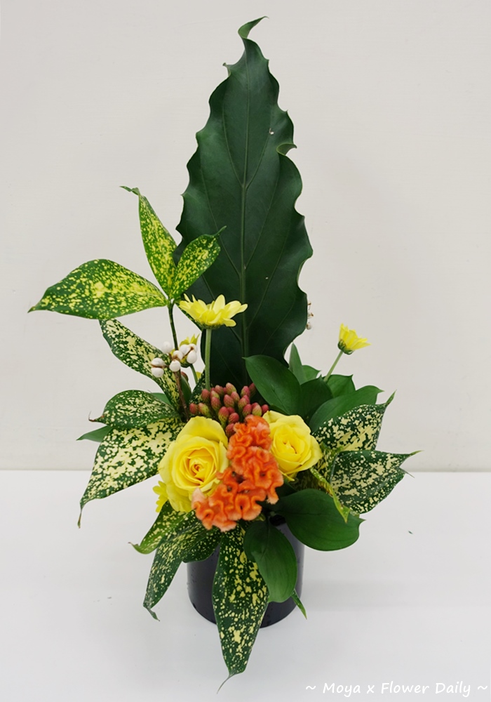 Moya S Workshop 池坊小品自由花
