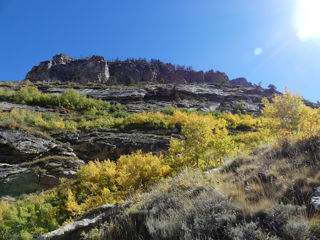 15: lines of green turning yellow in the rocks