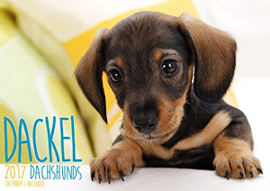 Der Dackel 2017