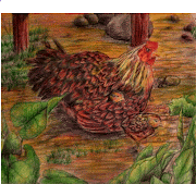 29+ Gambar Fauna Teknik Arsir