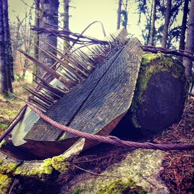 forests, february, winter, creuse, Limousin, nature, found art, land art, France