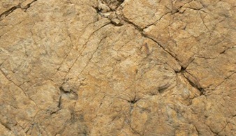 clip_image026