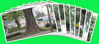 View album