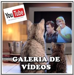 Nossos vídeos!