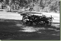 IMG_3149 (Medium)