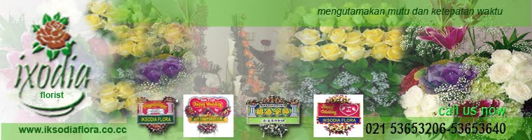 cara tanam bibit jati dan foto rangkaian ixodia