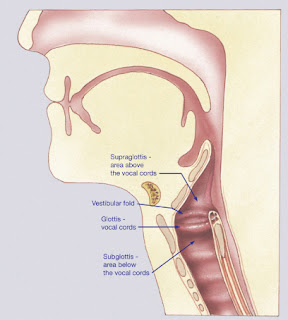 Symptoms of Throat Cancer in Men Nhs