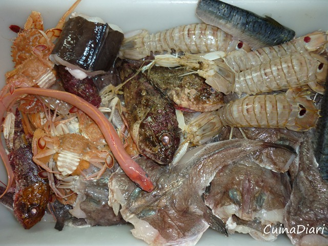1-2-fumet de peix-ppal-ETI