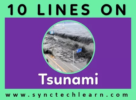 10 lines on tsunami in english