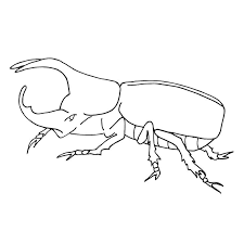Printable Rhinoceros beetle Coloring Pages For Kids