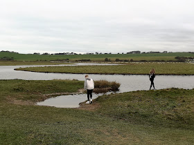 Cuckmere river