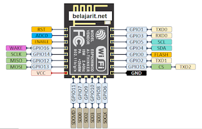 Pinout Chip ESP8266 12-E