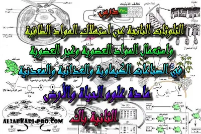 تحميل درس التلوثات الناتجة عن استهلاك المواد الطاقية واستعمال المواد العضوية وغير العضوية في الصناعات الكيماوية والغذائية والمعدنية للسنة الثانية باك علوم ,درس , ملخص , تمارين , امتحان وطني , امتحانات وطنية علوم الحياة والارض , علوم الحياة والارض , فروض علوم الحياة والارض , الثانية باك , بكالوريا, تعلم اللغات , المدارس العليا , دروس اونلاين