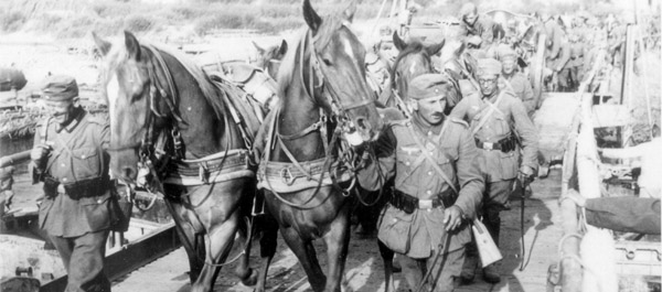 Horses in World War II worldwartwo.filminspector.com German troops