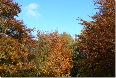 P1350607